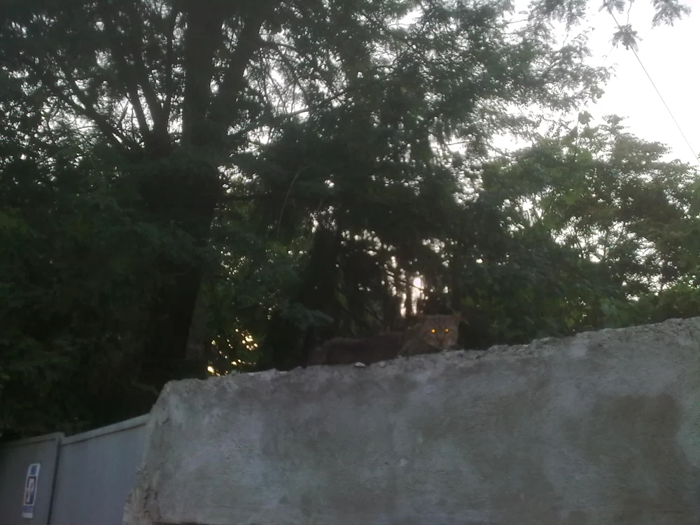 Treceri şi locuri miraculoase jpeg