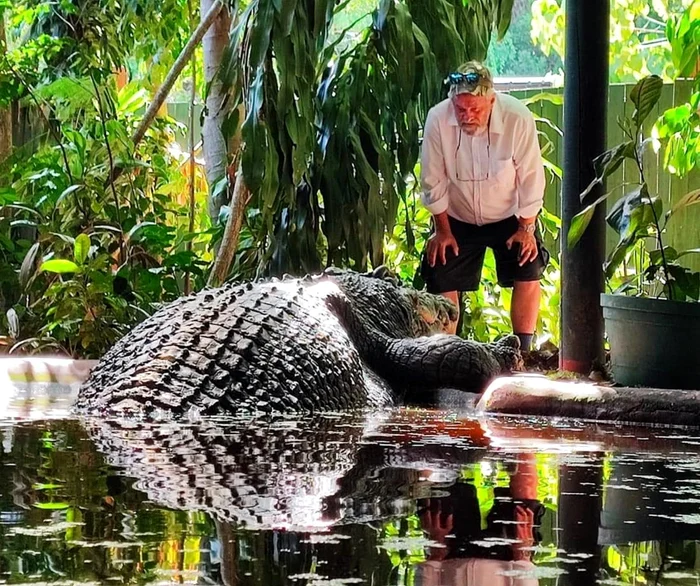 Foto: Facebook/Marineland Melanesia Crocodile Habitat