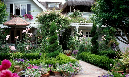 Grădină plină de flori și culoare Foto Better Homes & Gardens jpg