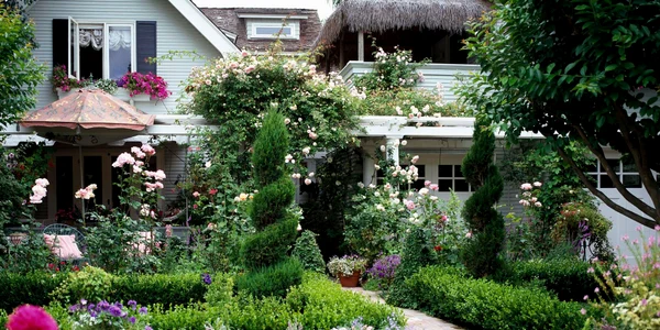 Grădină plină de flori și culoare Foto Better Homes & Gardens jpg
