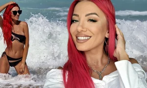 banner Anamaria Vaida png