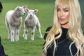 banner Tania Budi Mihai Trăistariu png