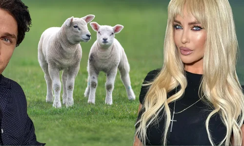 banner Tania Budi Mihai Trăistariu png