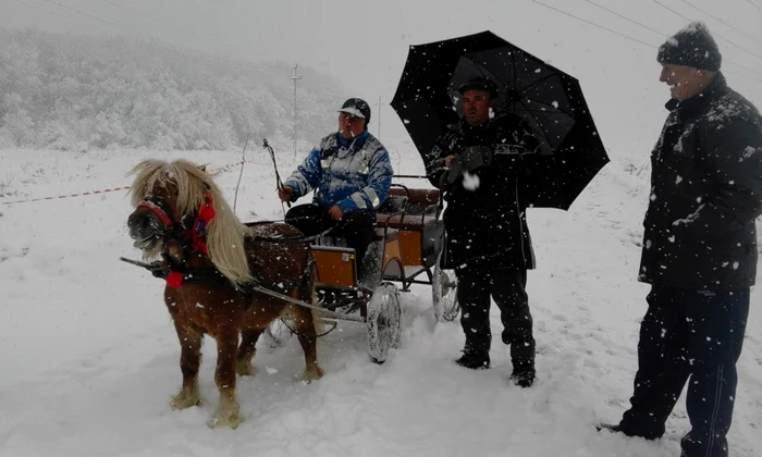 moş crăciun cu poneii