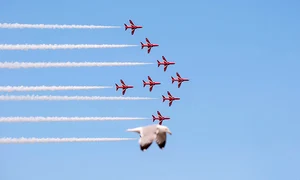 O pasăre a intrat în cadrul chiar când fotograful încerca să surprindă avioanele sincronizate jpeg