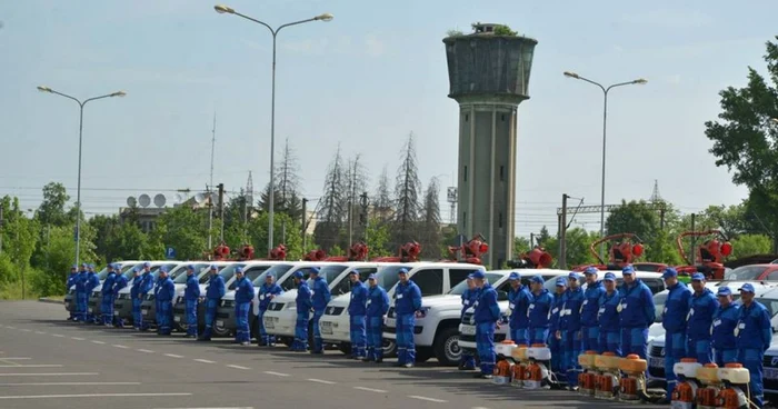 Eu sunt cei care vor scăpa Braşovul de dăunători. FOTOPrimăria Braşov