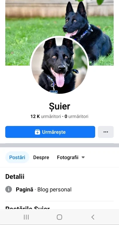 Șuier, pe când era doar pui și nu știa să latre