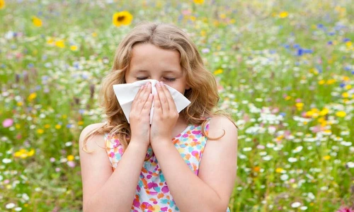 1 80875 original jpg jpeg