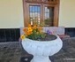 Gara municipiului Brad și anexele sale Foto Daniel Guță ADEVĂRUL (3) jpg
