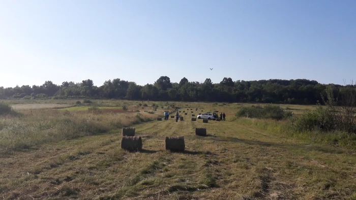 Forţele de ordine îl caută pe bucătarul criminal de la Făget FOTO Ş.Both