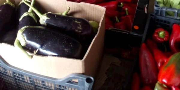 veronica gogot cultivă legume magice - foto arhiva personală