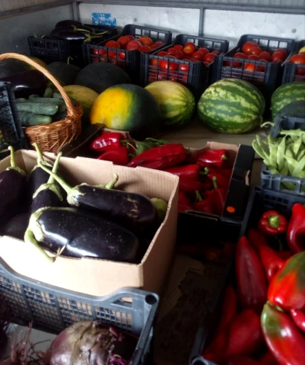 veronica gogot cultivă legume magice - foto arhiva personală