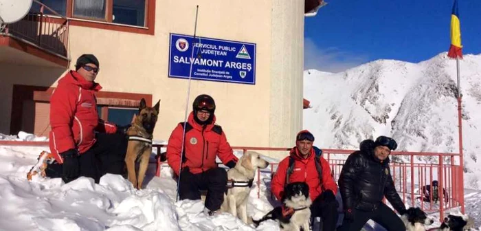 Gigi Cosa cu Roni (rasa Malinois - Ciobănesc belgian) - de la Salvamont 
Bacău, Tiberiu Krizbai cu Yukan’na (rasa Golden Retriever) - de la 
Salvamont Alba şi Carlos Tascau cu Recco (rasa Border Collie ) - de la 
Salvamont Gorj.