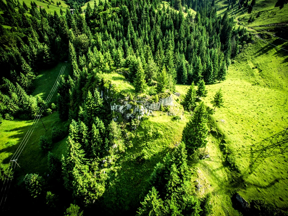 Ruinele Cetății Oratia Foto: ArtTour România