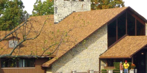 Fondurile cinegetice, un „vânat“ rentabil