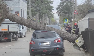 copac cazut peste masina in botosani foto facebook meteoplus png