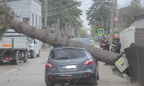 copac cazut peste masina in botosani foto facebook meteoplus png