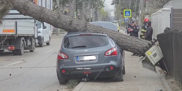 copac cazut peste masina in botosani foto facebook meteoplus png