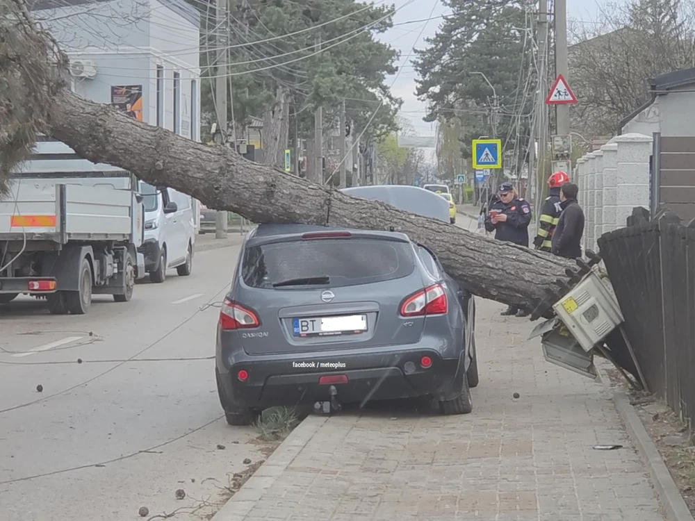 Copac doborât de vijelie peste o mașină în Botoșani. Meteorologii au anunțat cod portocaliu de vânt în județ