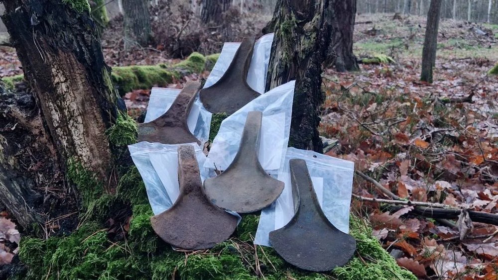 Comori vechi de 3.500 de ani, scoase la lumină în urma unei descoperiri rare făcute de un detector de metale în Polonia