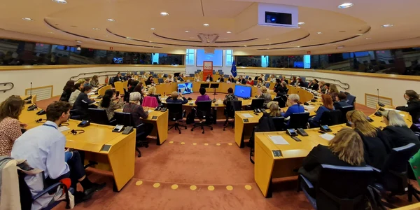Conferința ”Egalitatea de șanse între femei și bărbați,  bază a democrației”  Foto OSDF Sălaj jpg