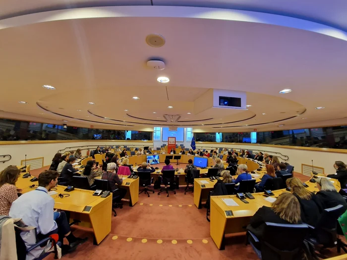 Conferința ”Egalitatea de șanse între femei și bărbați, bază a democrației”. Foto: OSFD Sălaj