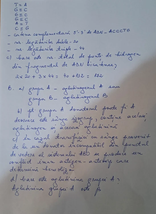 anatomie bac sub II continuare jpeg