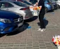 9 nicu bocancea lalele parcare 2 jpg jpeg