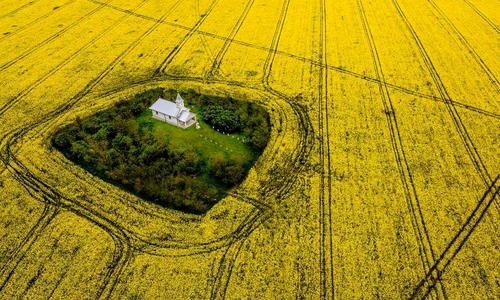 biserica din satu mare facebook jpg