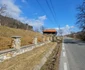 Câmpul lui Neag, Hunedoara Foto Daniel Guță ADEVĂRUL (121) jpg