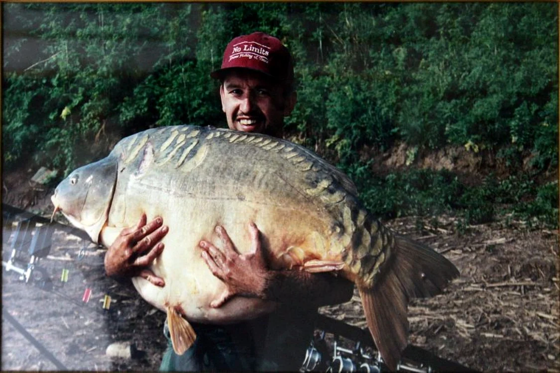 sarulesti 11