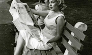 Deschidem Blogul cititorilor  png