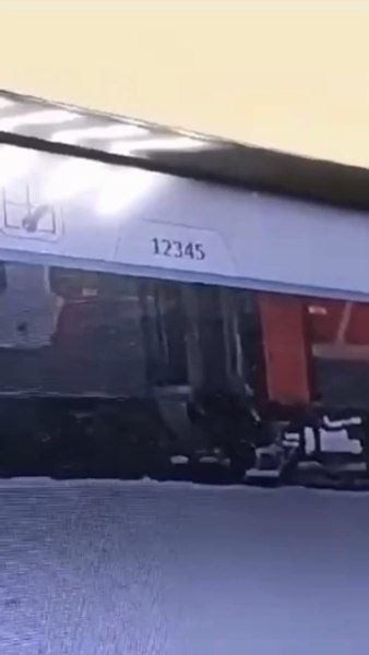 Moartea unui motan stârnește revoltă în Rusia. Twix a fost aruncat din tren de un conductor, la -30 de grade Celsius VIDEO
