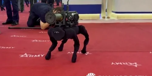 caine robot rusia foto captură video