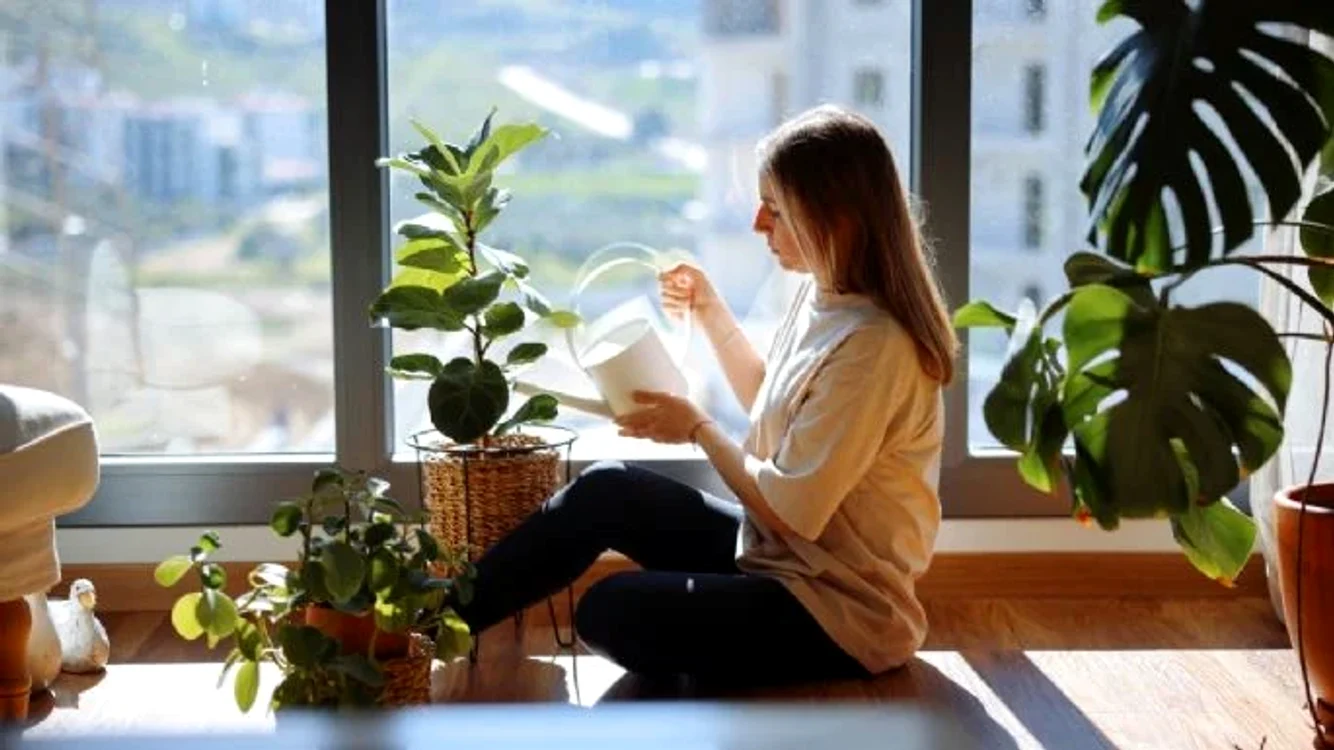 Planta care înfrumusețează casa, dar atrage cel mai mare ghinion financiar.