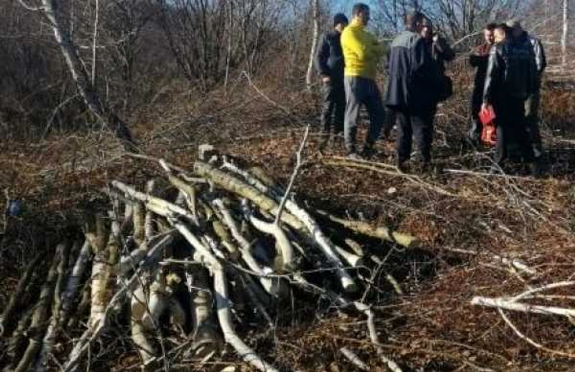 Valoarea prejudiciului va fi stabilită până la finalul lunii ianuarie FOTO: ziarulprofit.ro
