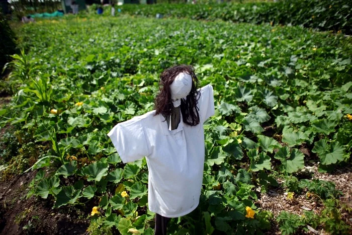 Bărbatul și-a confecționat propria păpușă gonflabilă, cu care a făcut sexfoto: ibtimes.co.uk