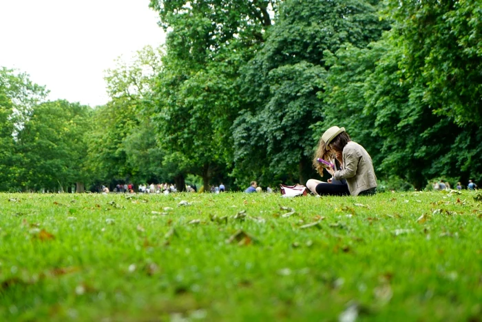 Agresiunea a avut loc într-un parc din Piteşti FOTO Pixabay