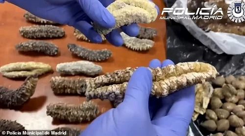 FOTO Poliția municipală din Madrid