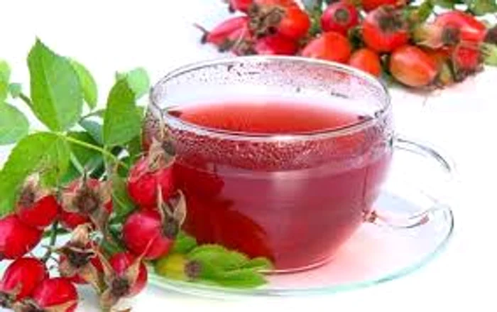 Preparatele din merișoare tratează infecțiile grave din organismSursa foto: Doxologia.ro