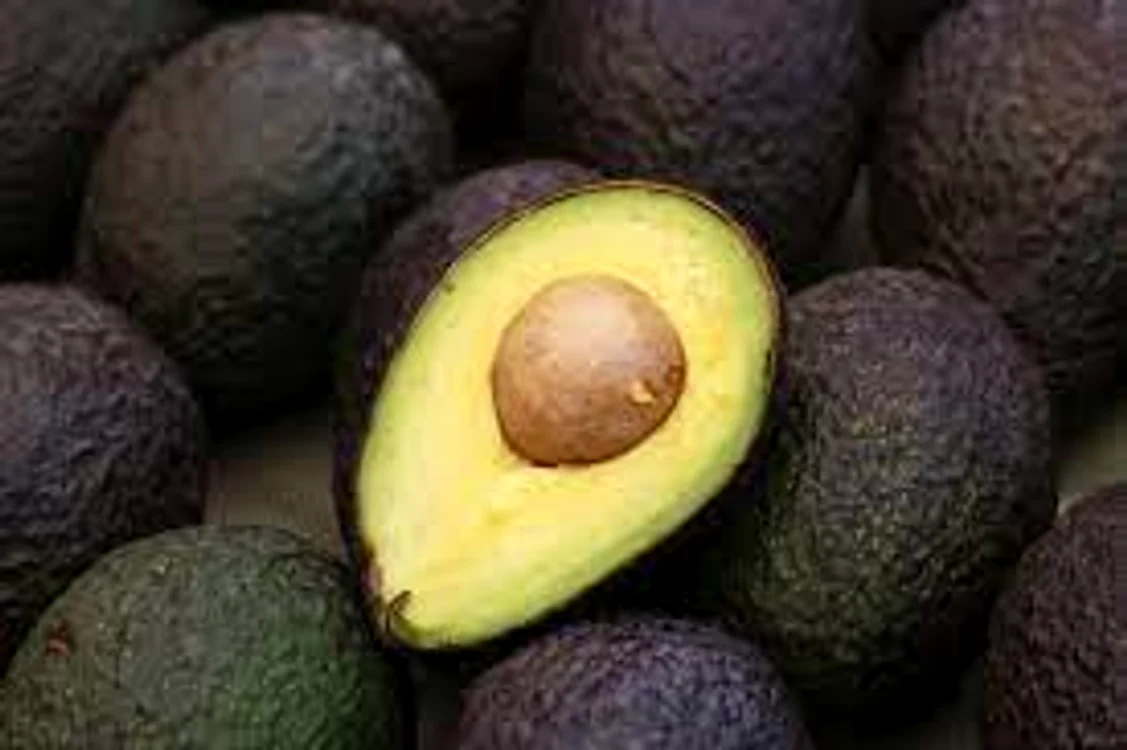 Avocado. Foto: arhiva.