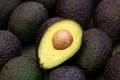avocado jpeg
