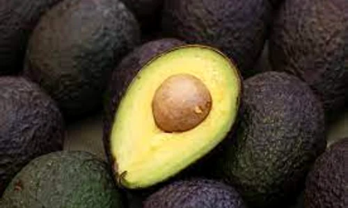 avocado jpeg
