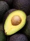 avocado jpeg