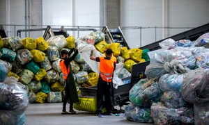 reciclabil ID261000 INQUAM Photos Ovidiu Micsik jpg