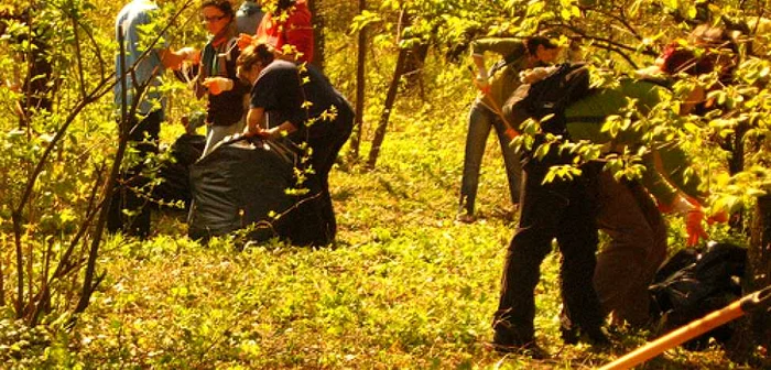 Arad: Pecicanii au început de astăzi curăţenia de toamnă