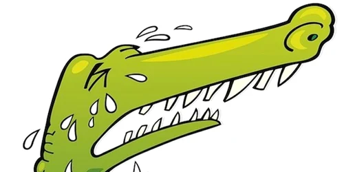 lacrimi de crocodil FOTO Quantov