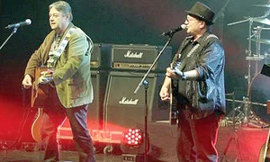 pasarea colibri jpeg