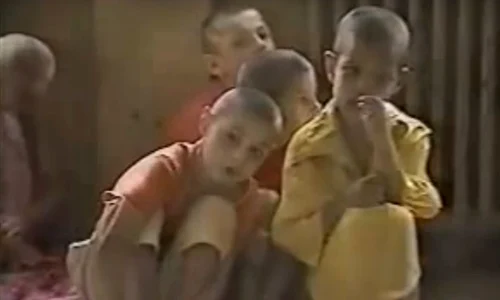 Sesizare penală privind tratamentele aplicate copiilor în căminele spital, în perioada comunistă, care au avut drept urmare moartea a peste 770 de minori  jpeg