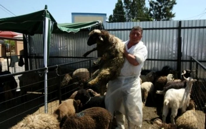 Prima plimbare cu metroul a cam emoţionat-o pe Irina, care le-a oferit un spectacol de pomină pasagerilor din metrou